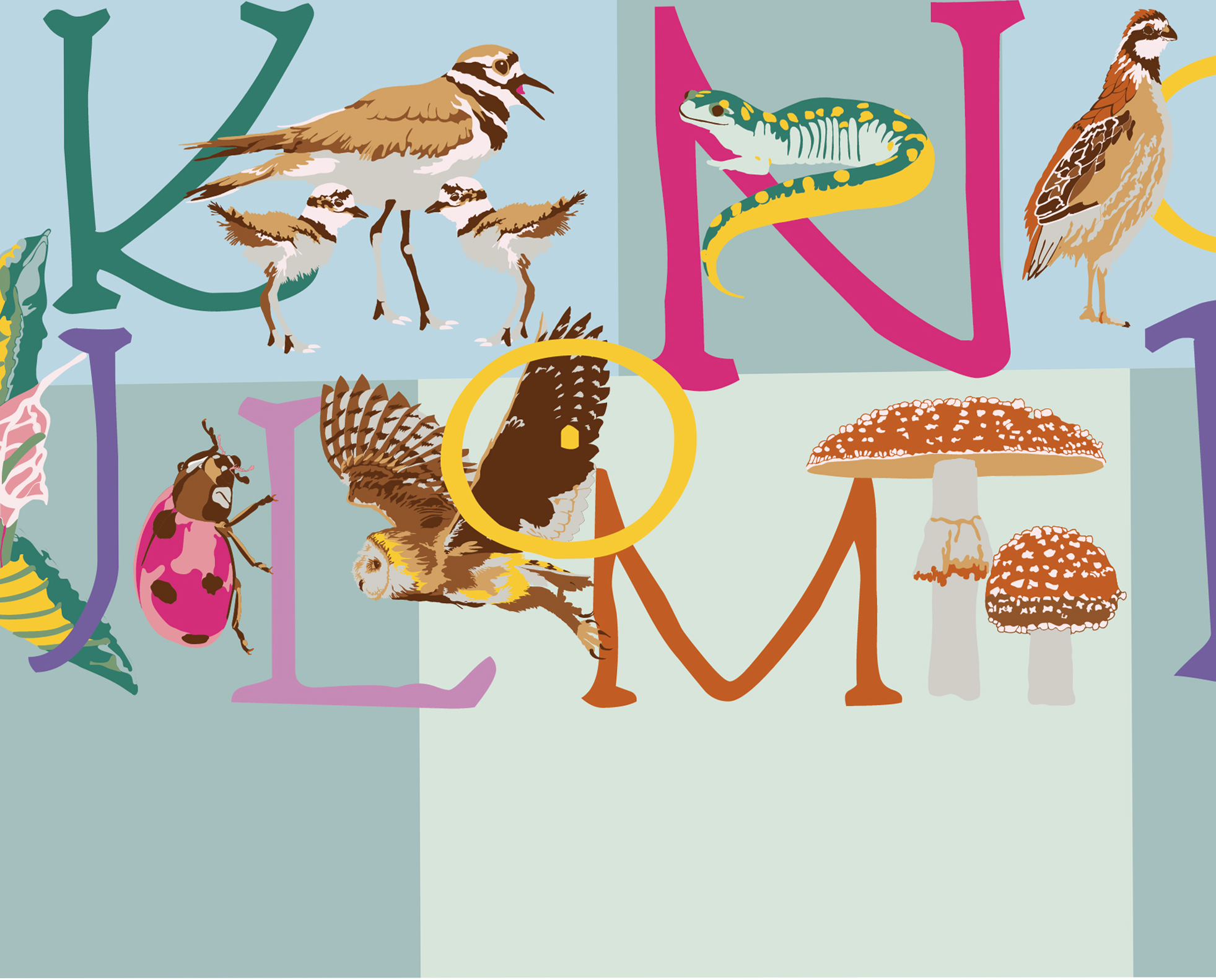 Alphabet mural